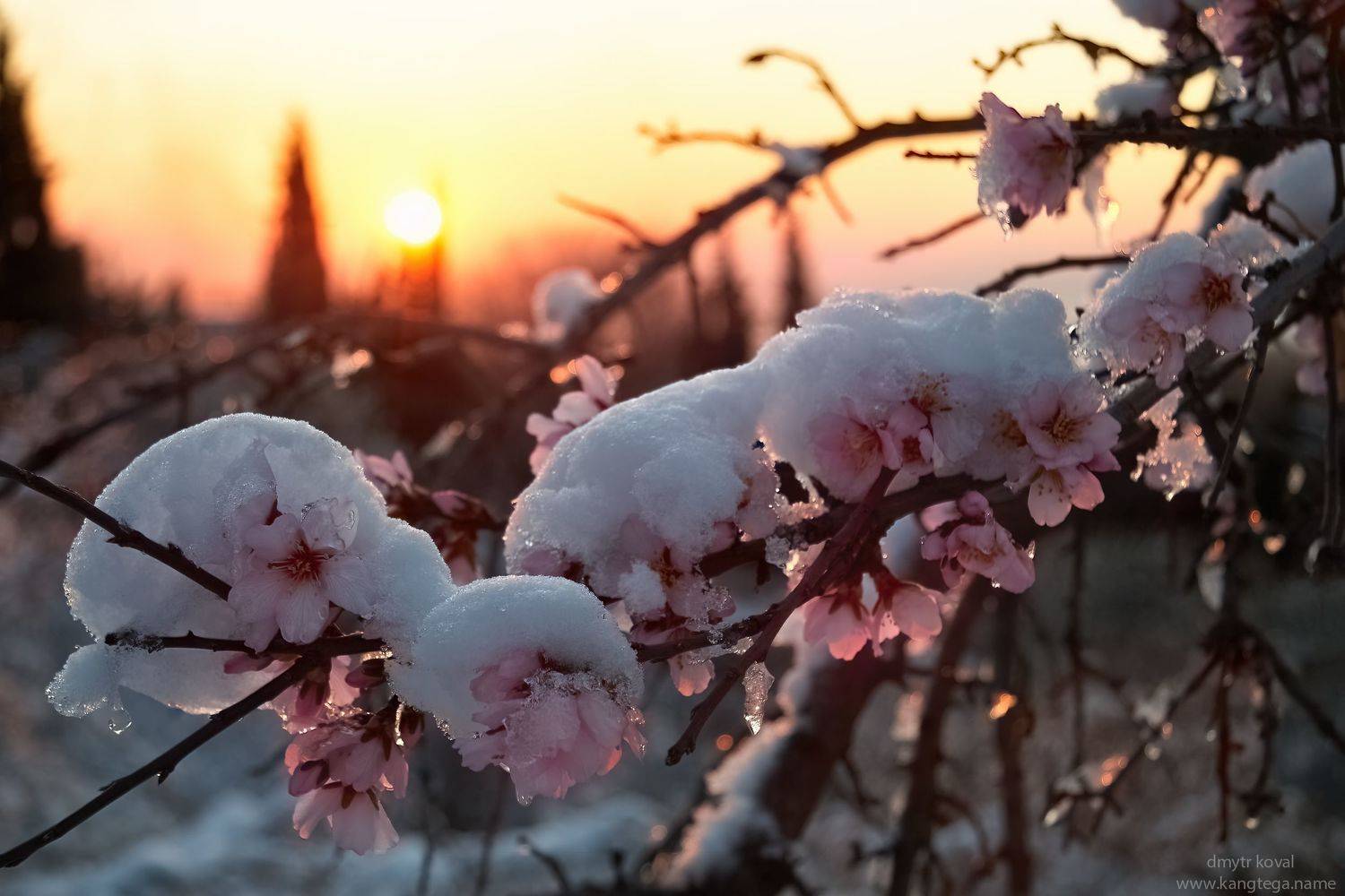 дмитр коваль, гималаи и крым вне треков, пейзаж как магия, Коваль Дмитр