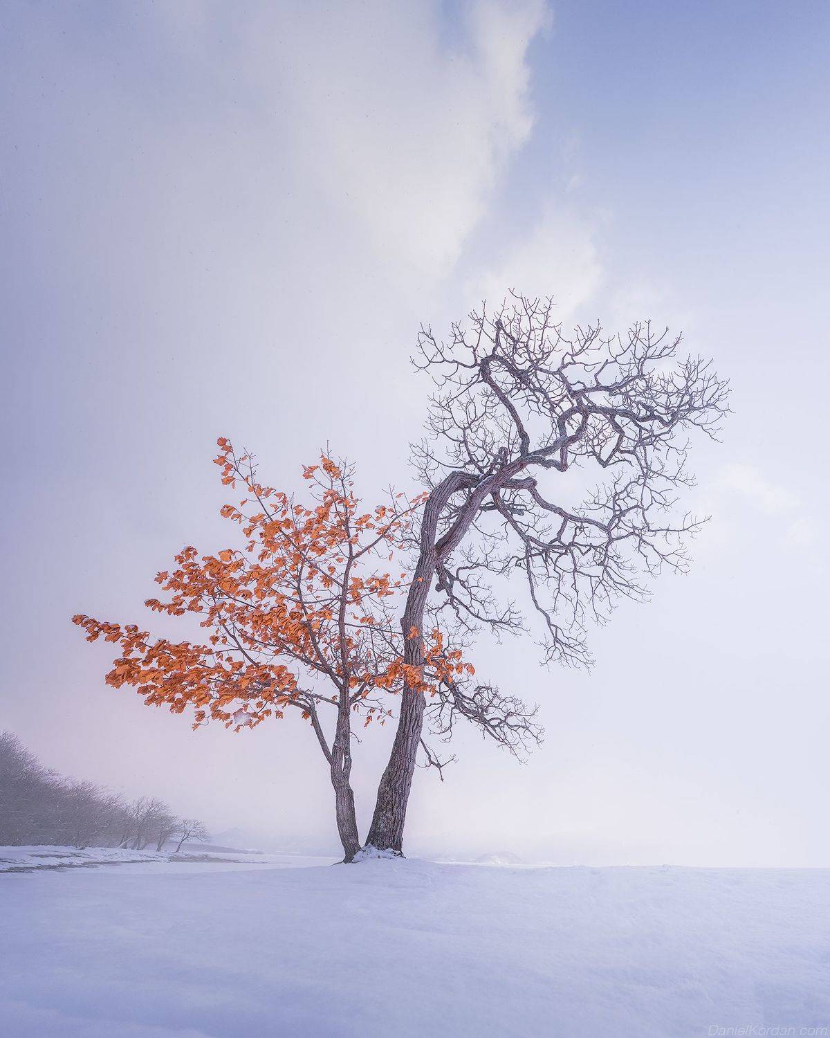 , Даниил Коржонов