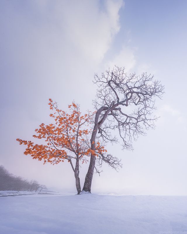 Hokkaido Japan