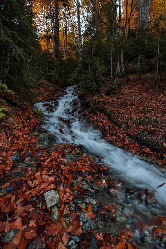 Shallow creek фото превью