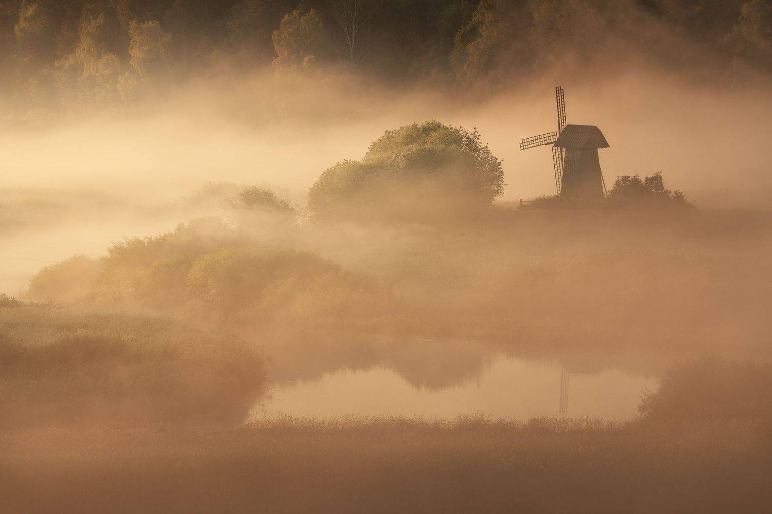 , Политова Анна