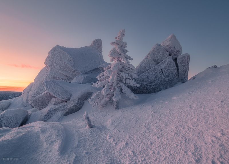 таганай, южный урал, елки, рассвет, иней, снег, зима Про елочку фото превью
