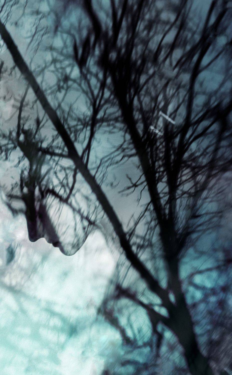 портрет,отражение,силуэт,дождь, Буданова Мария