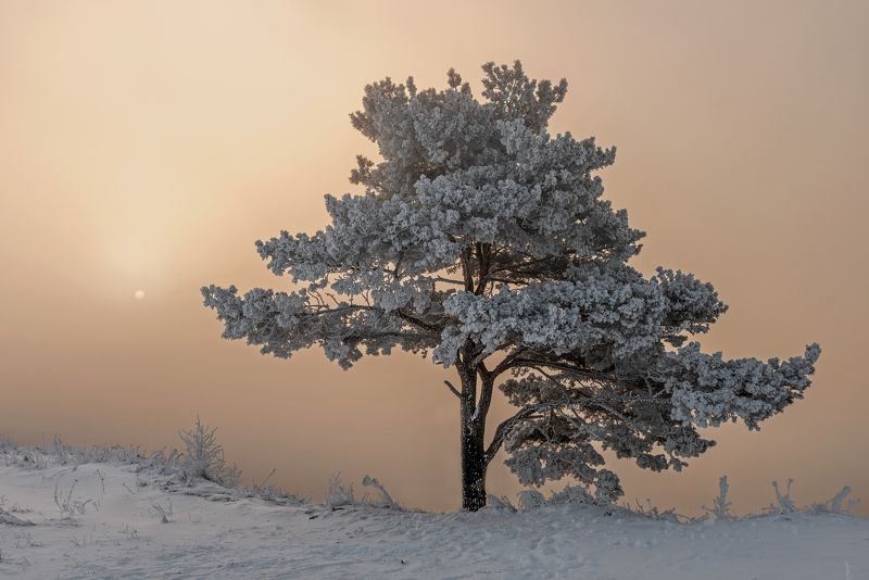 Утро фото превью