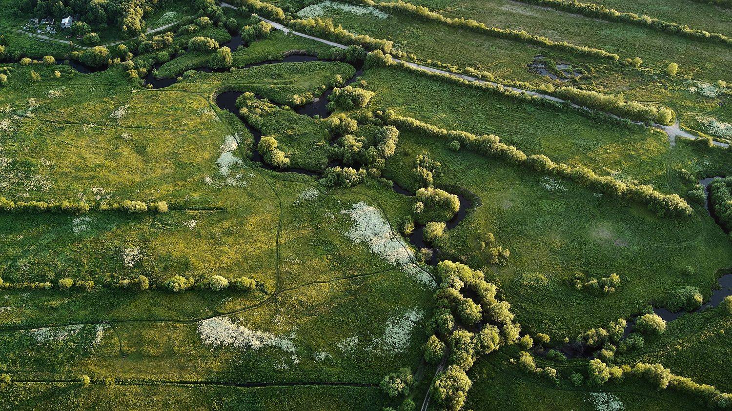 , Лисаускас Илья