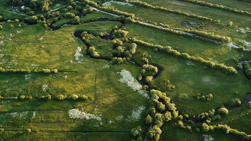 *** фото превью