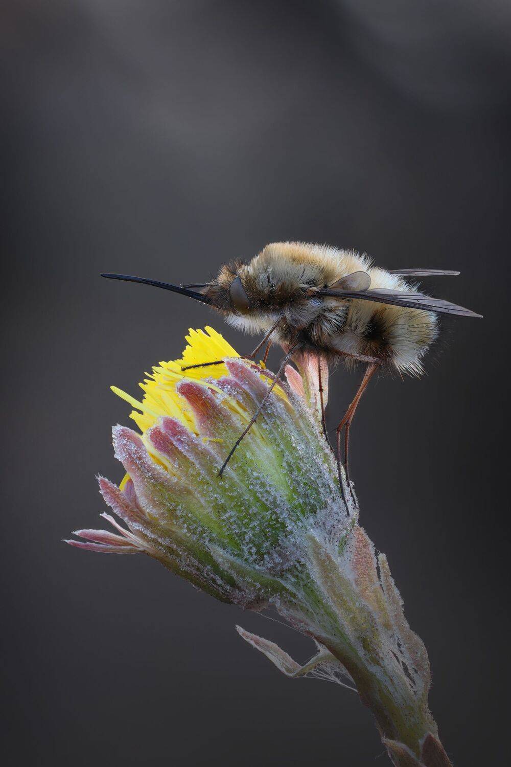 , Кузнецов Дмитрий