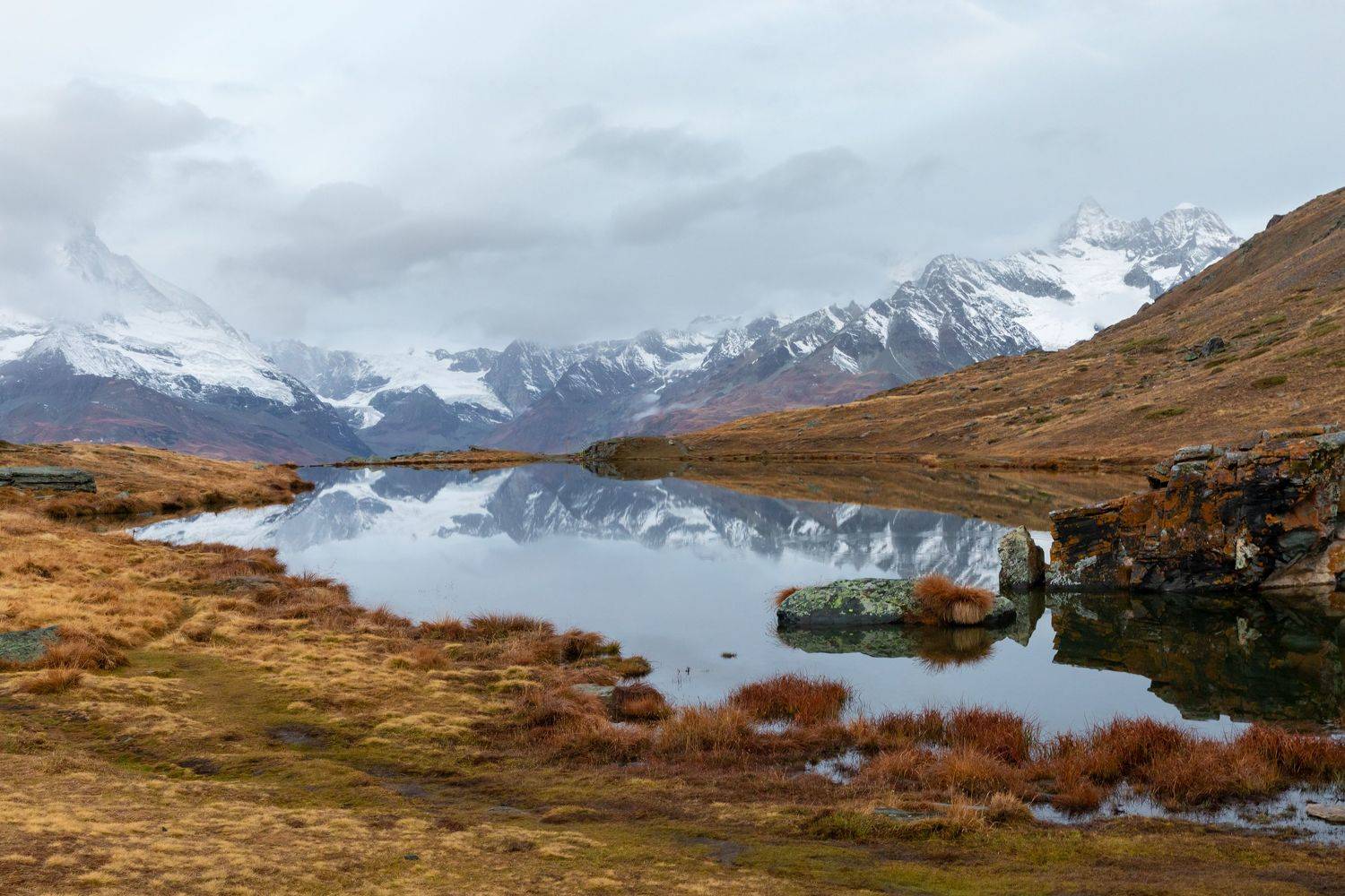 , Евгения Чех