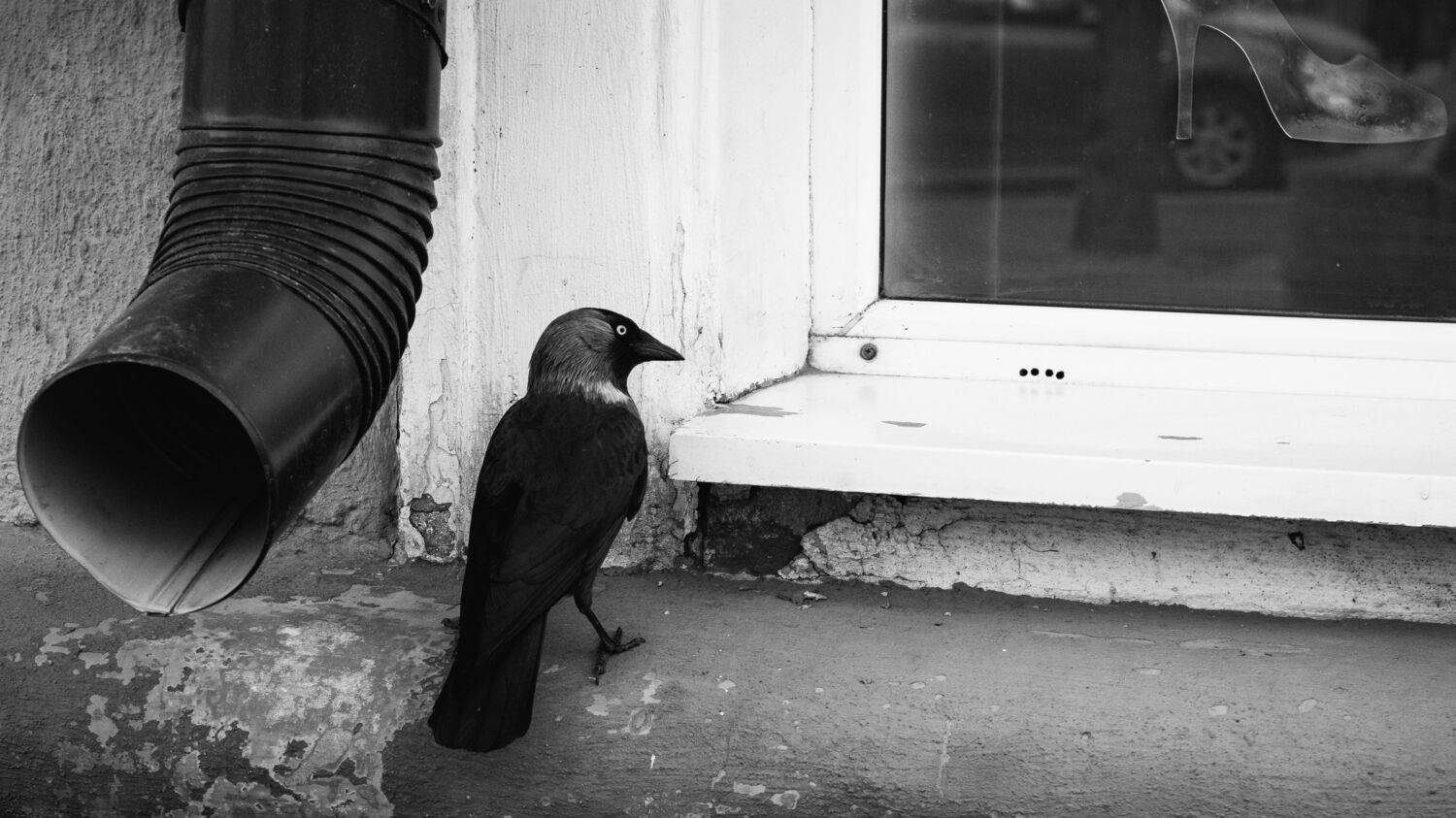 , Вертиков Юрий