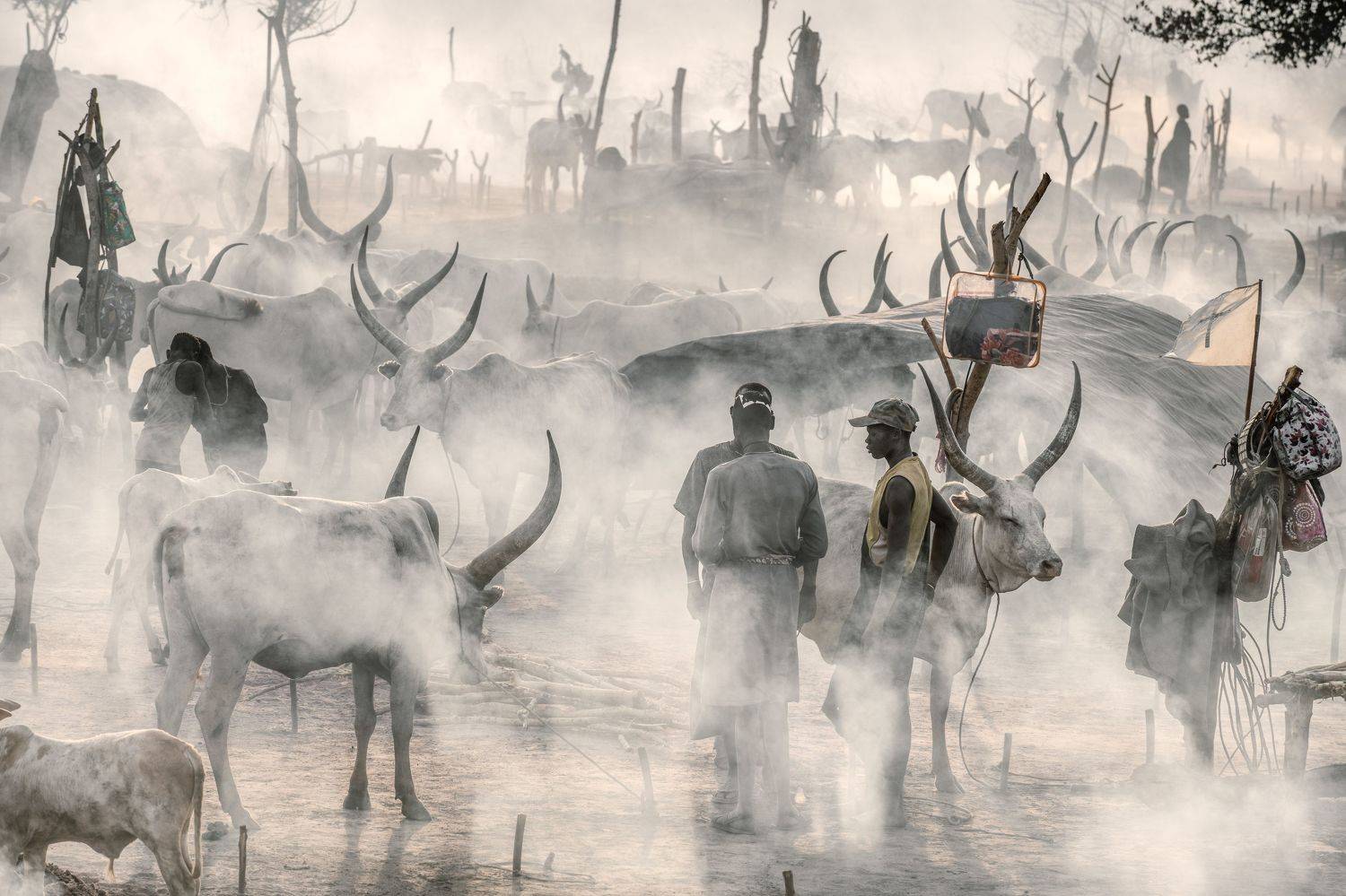 Mundari, tribe, South Sudan, africa, Trevor Cole