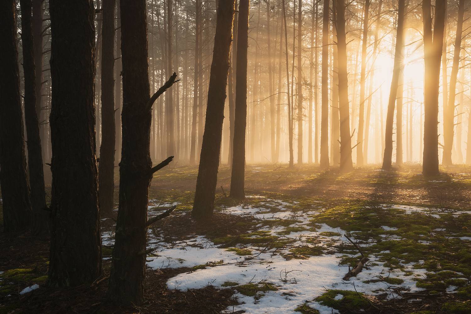 , Захаров Дмитрий