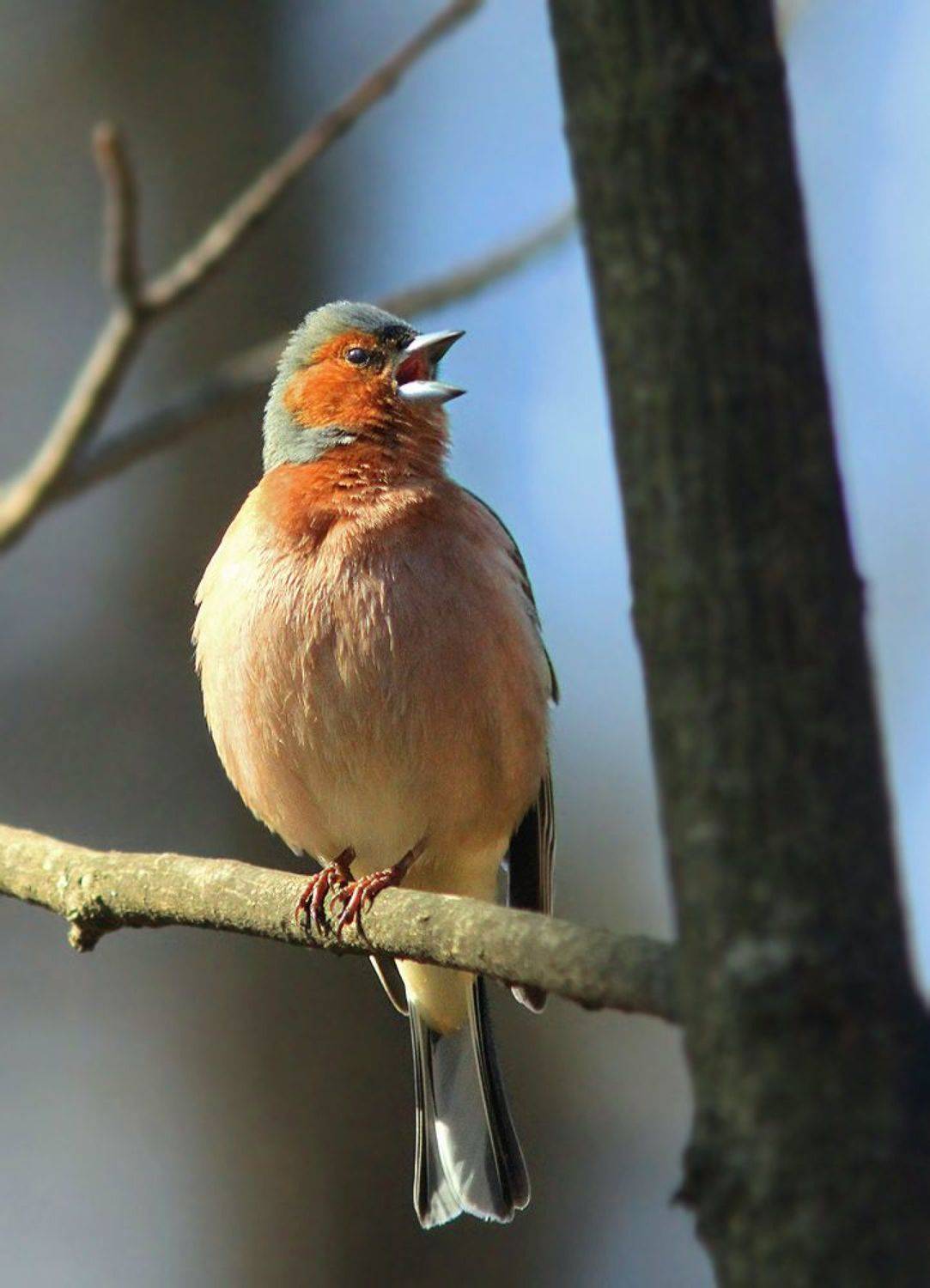 , Михаил Крюков