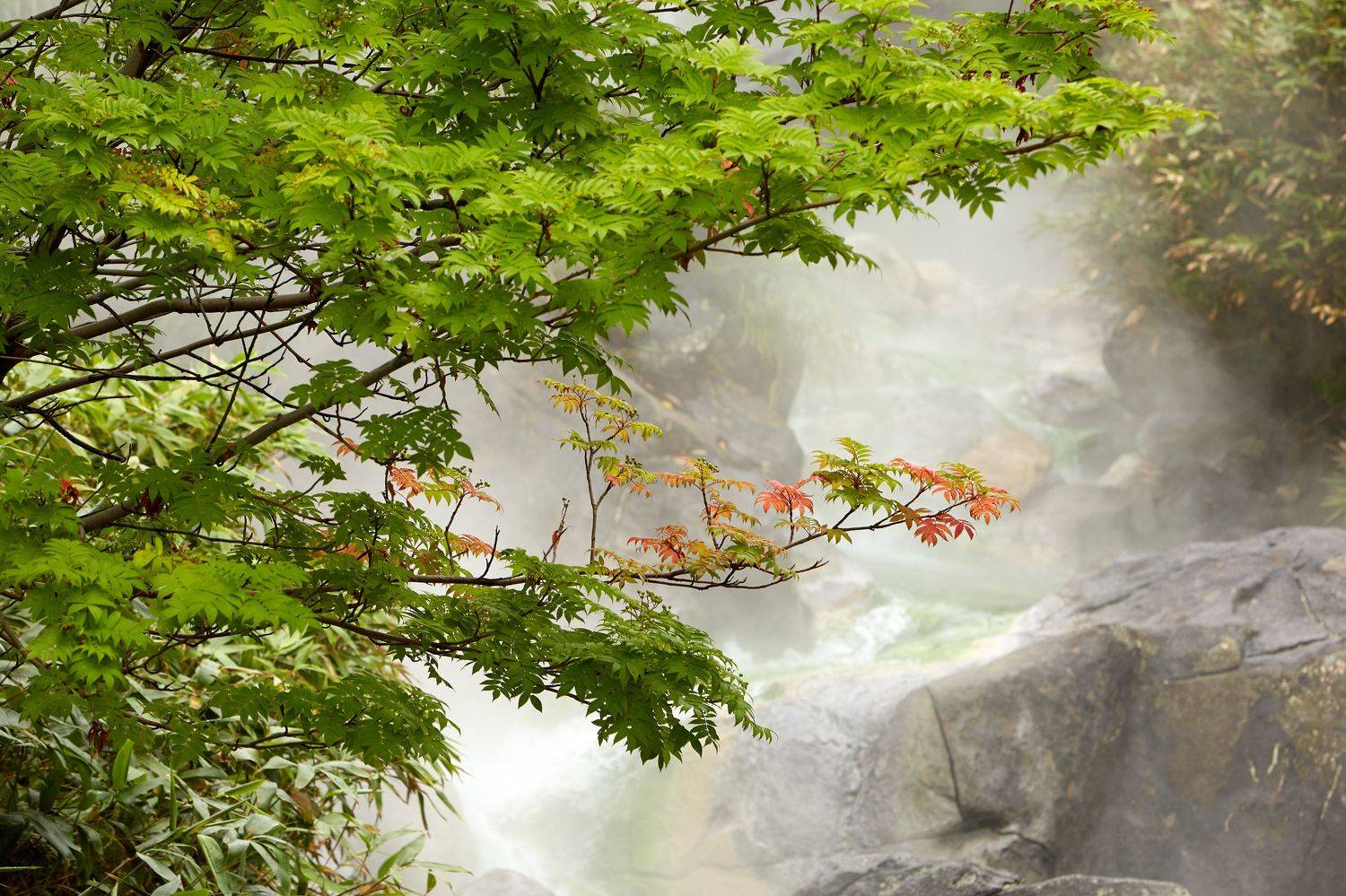 итуруп, кипящая речка, вулкан баранского, iturup, Алексей Романов