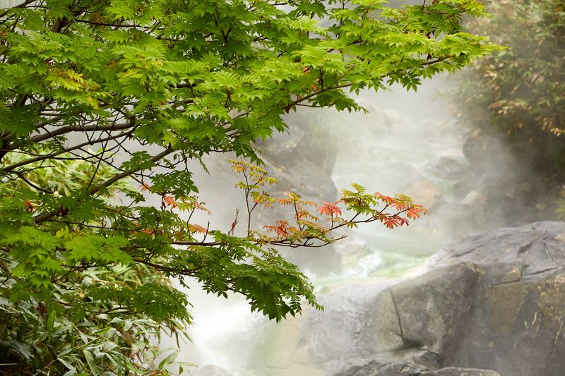 итуруп, кипящая речка, вулкан баранского, iturup Ручей Кипящий на склоне вулкана Баранского на острове Итуруп фото превью