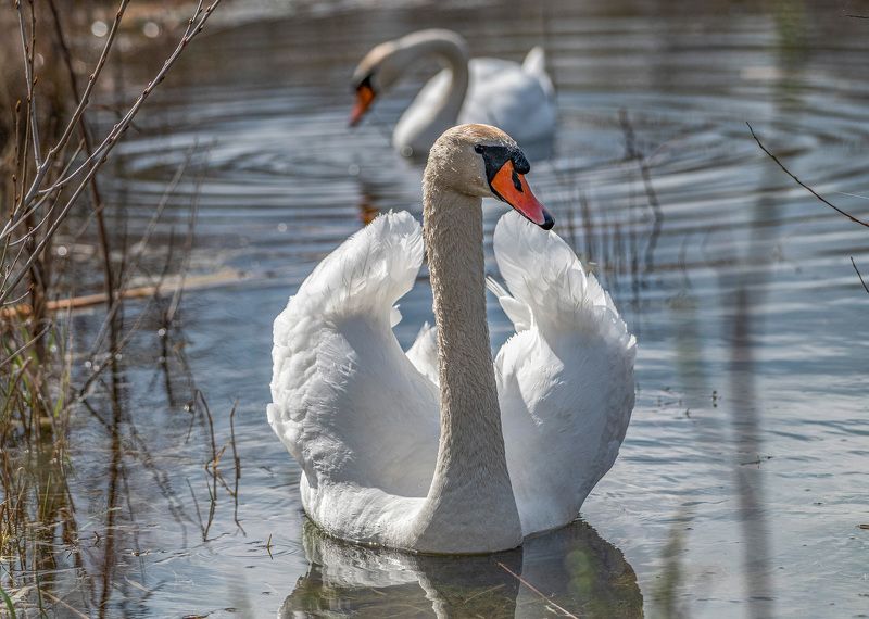 Под весенними солнышком фото превью