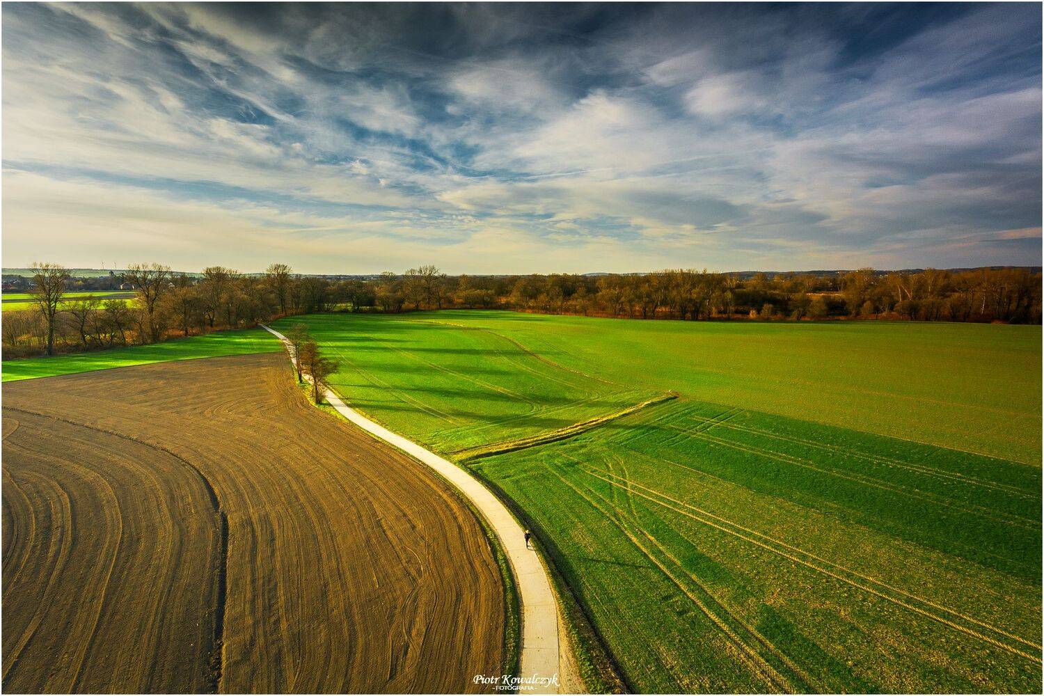 polska, pola, drzewa, droga, Kowalczyk Piotr