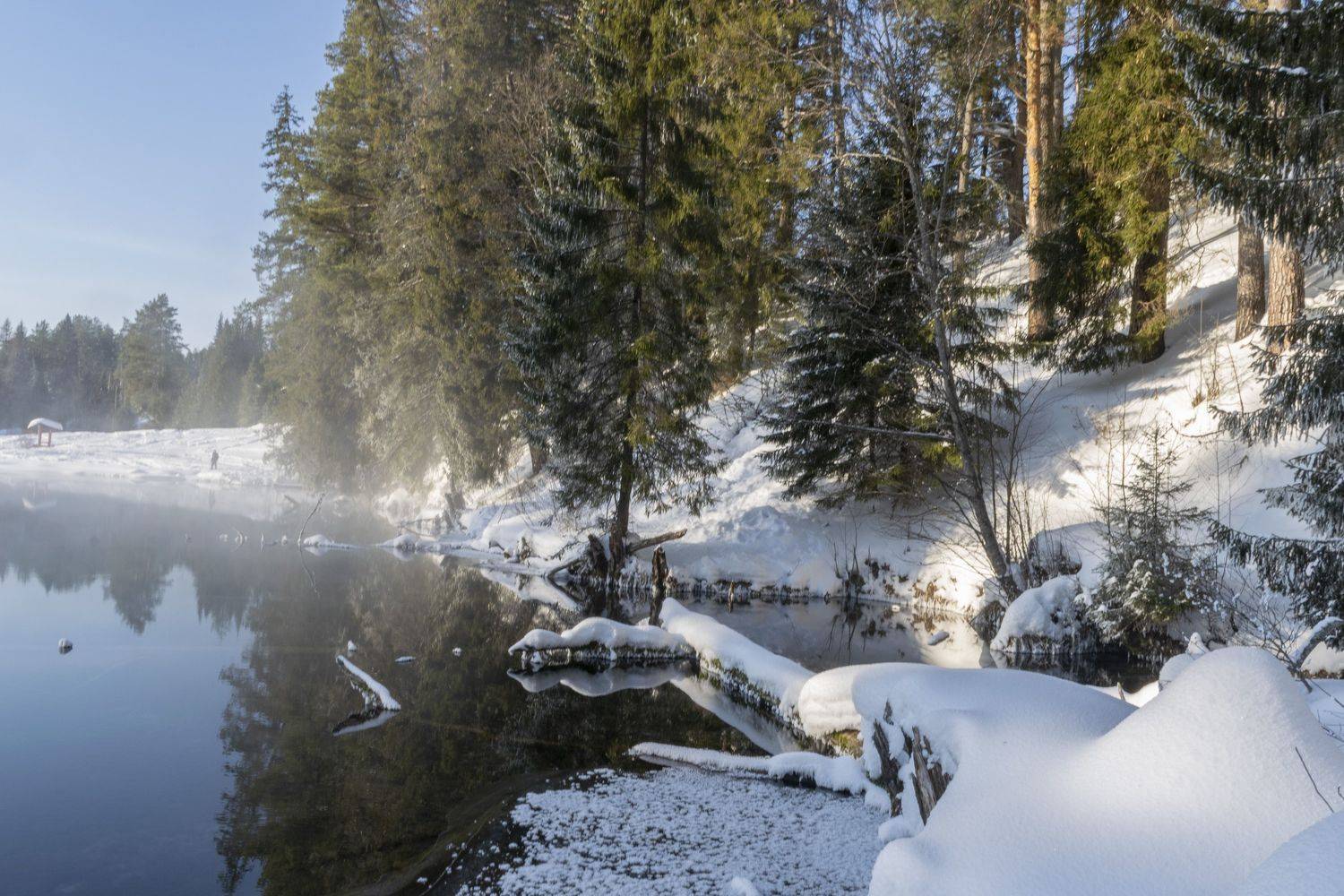 , Галина Луценко