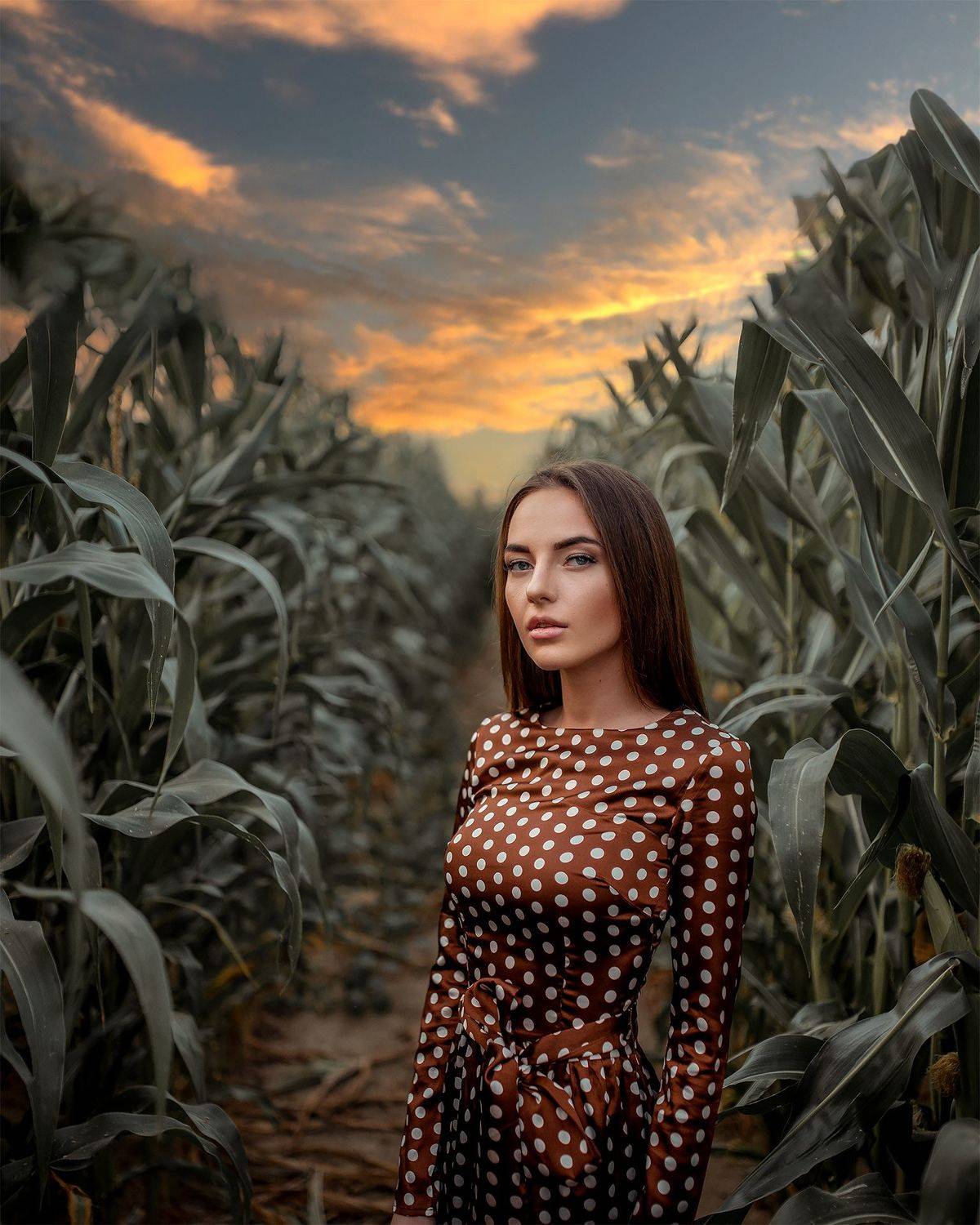 , Тихомиров Николай