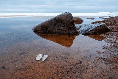 Дыхание весны