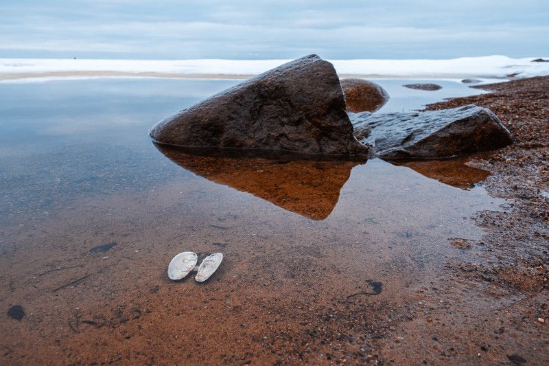 весна, природа, пейзаж, зимний пейзаж, финский залив, landscape, nature, spring Дыхание весны фото превью
