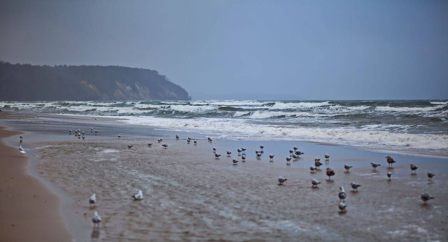 Светлогорск, Lilia Tkachenko