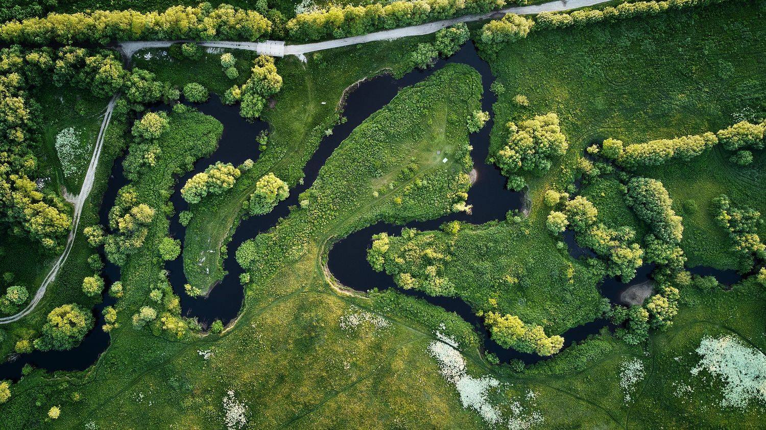 , Лисаускас Илья