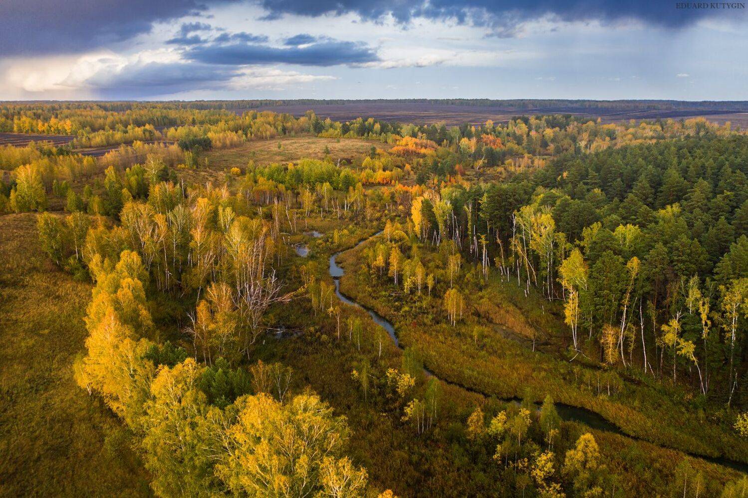 зауралье, балки, курган, Кутыгин Эдуард
