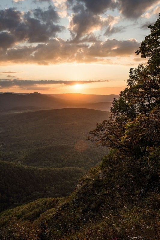 Шибаба фото превью