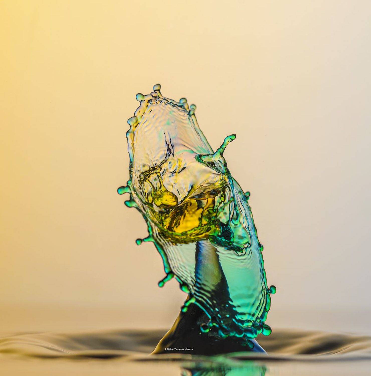 , Григорий Армашов-Тельник