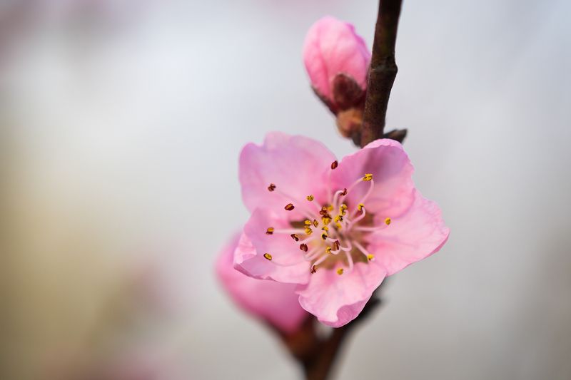 2023 фото превью