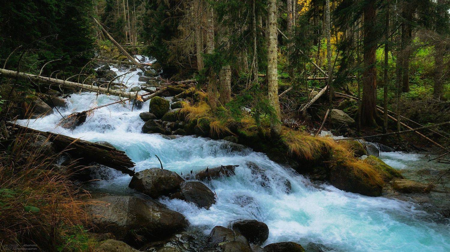 осень горы лес река камни природа пейзаж, Serj Master