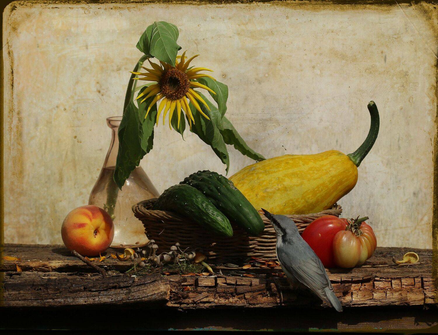 nuthatch, Хромушин Олег