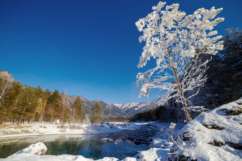 горы, горный алтай, катунь, пейзаж, алтай, озёра, россия Голубые глаза Катуни фото превью