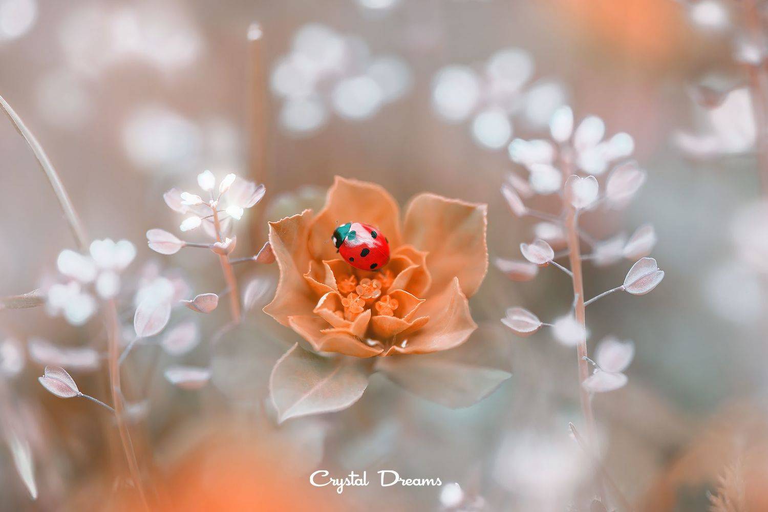 , Татьяна Крылова