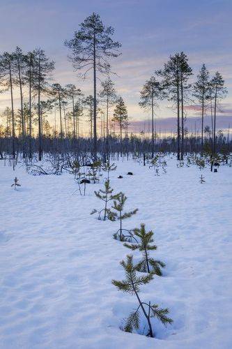 Дети и родители