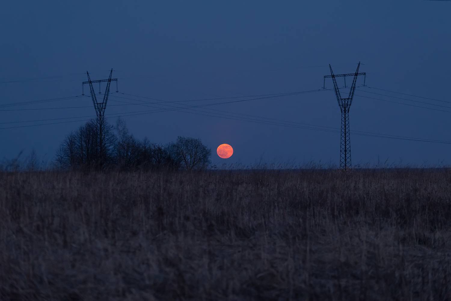 , Стрельцов Виталий