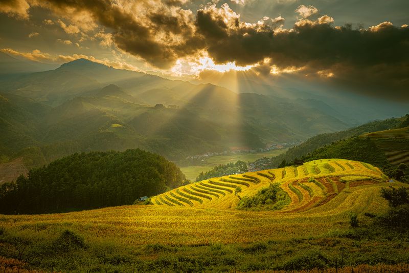 The Very First Sun Ray over Golden Terraced Field фото превью