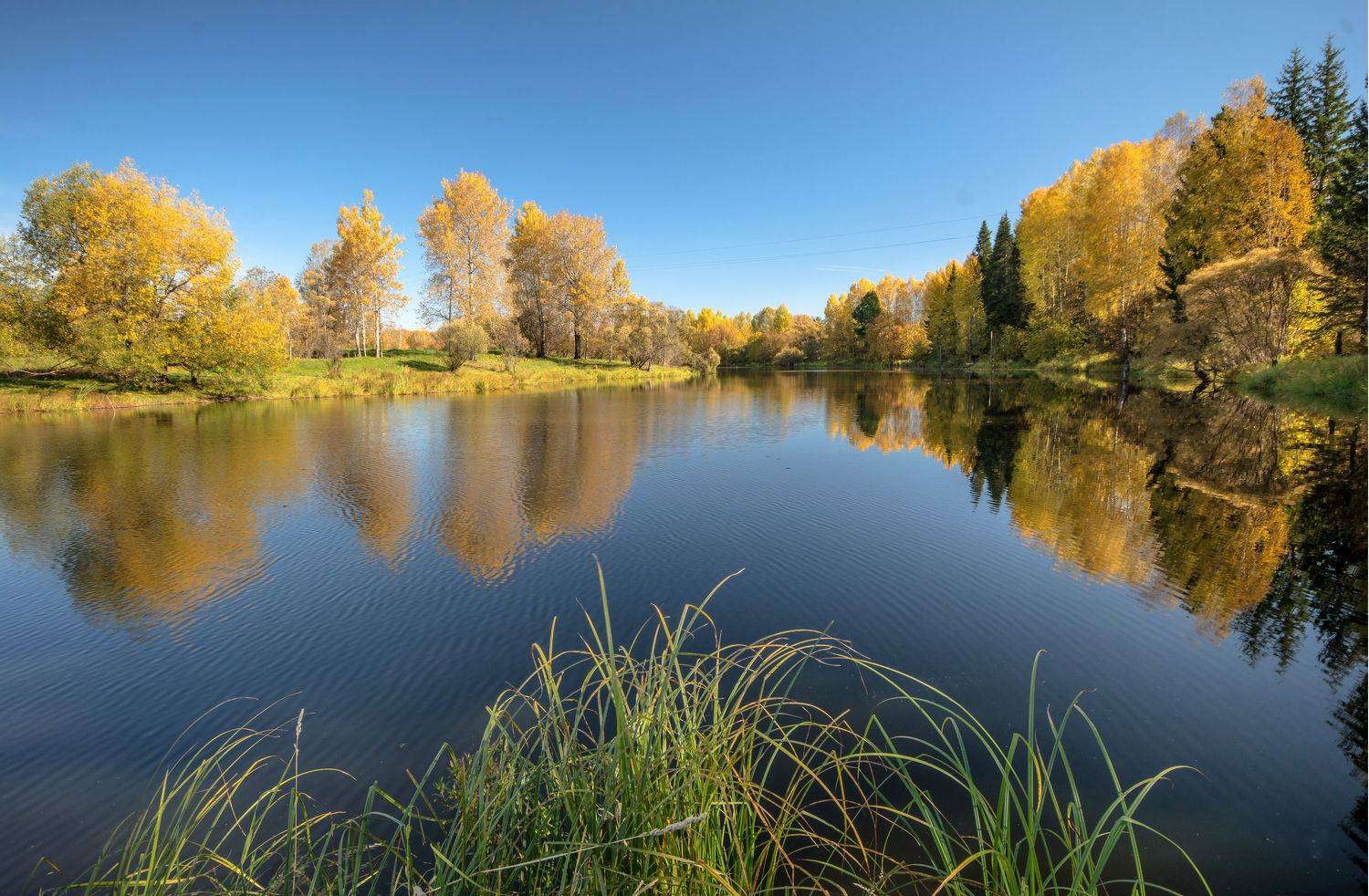 , Белоусов Михаил