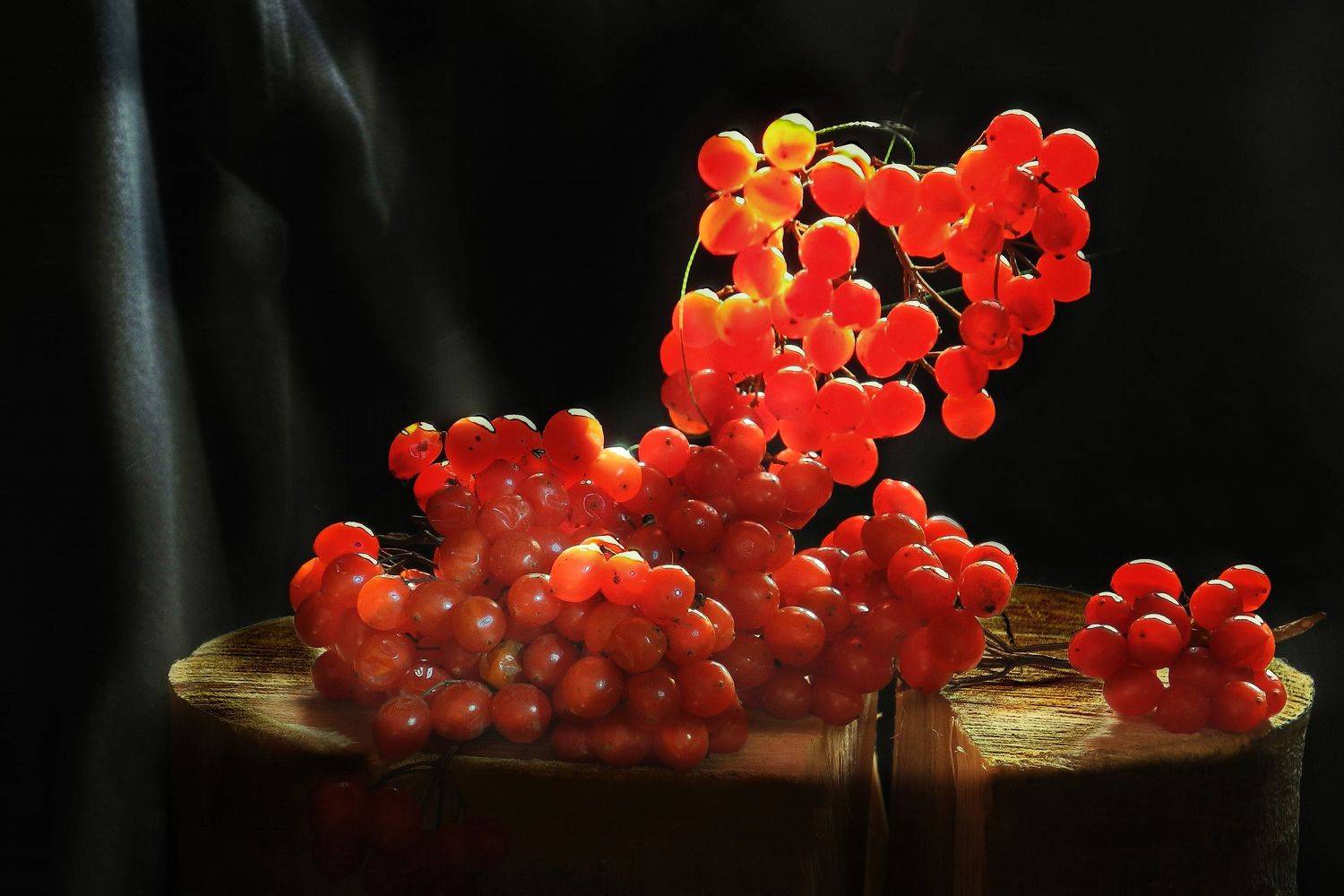 ягоды, калина, рябина, малина, клюква, Сергей Фунтовой