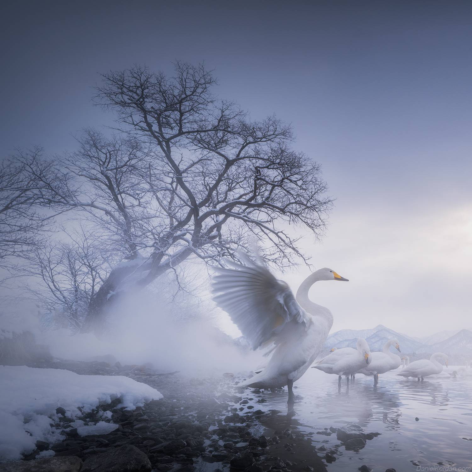 , Даниил Коржонов