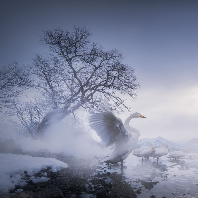 Hokkaido Japan