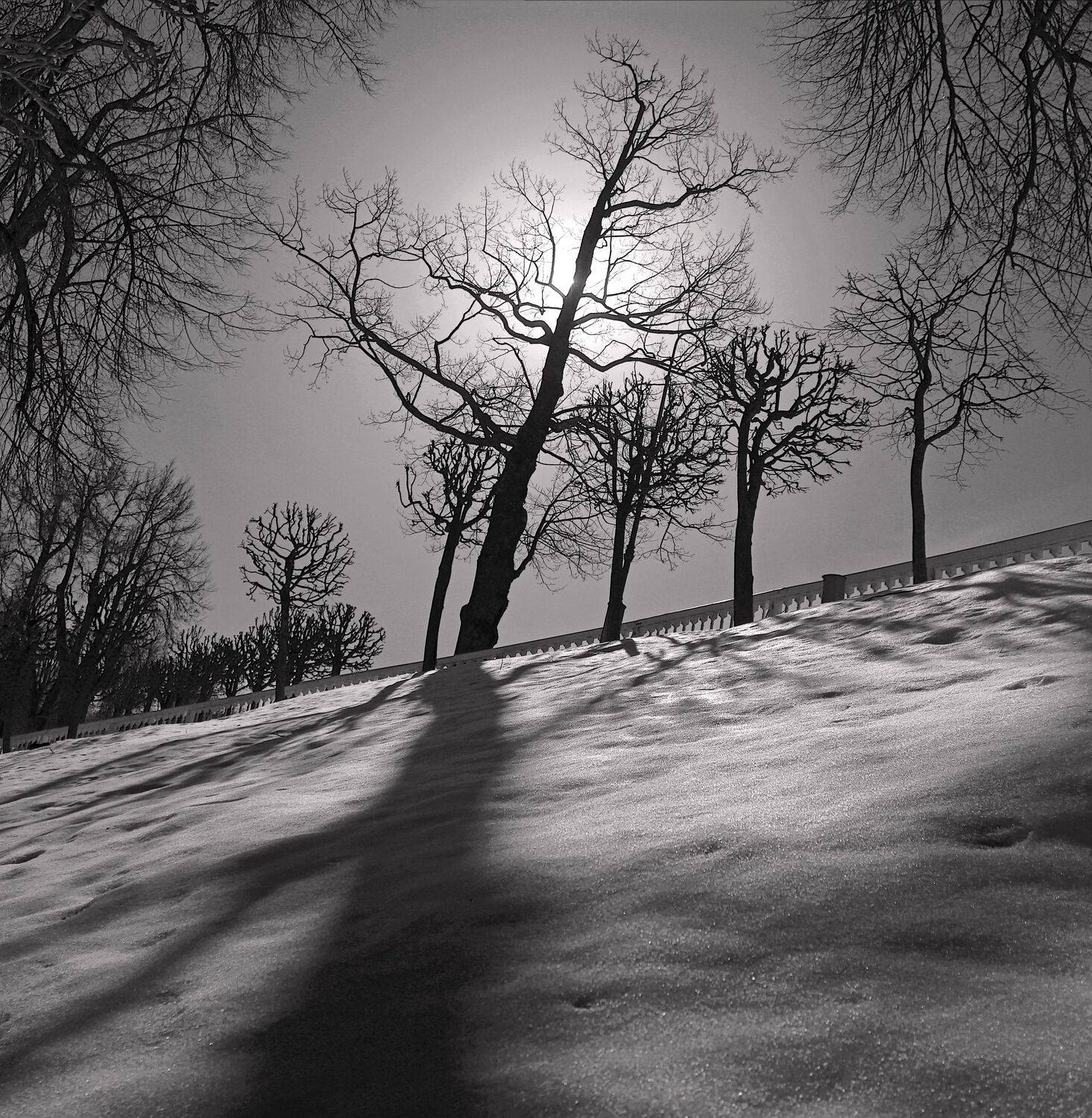 , Сергей Григорьев