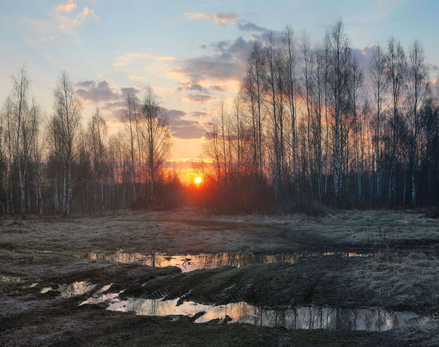 весна , восход, Александр Свистков