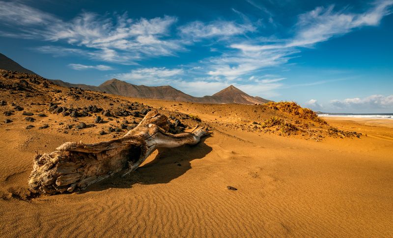 -- фото превью