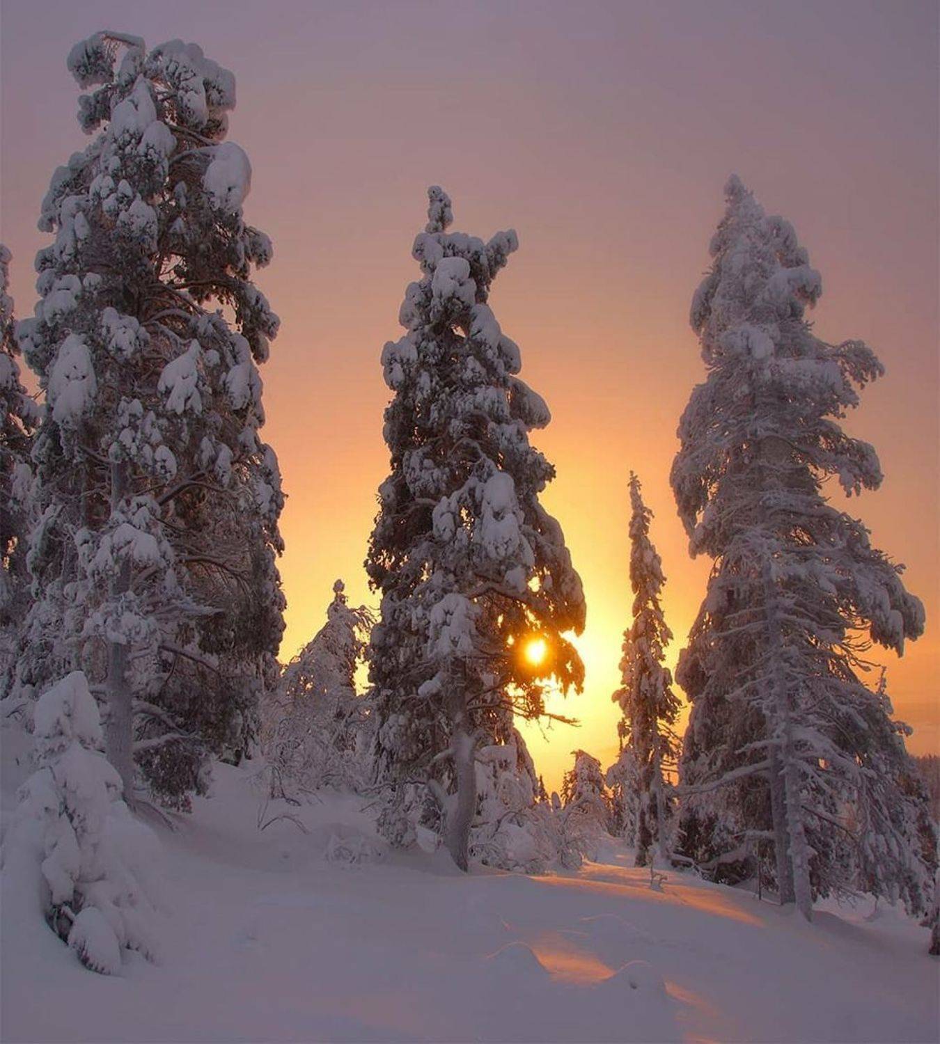 , Петр Косых