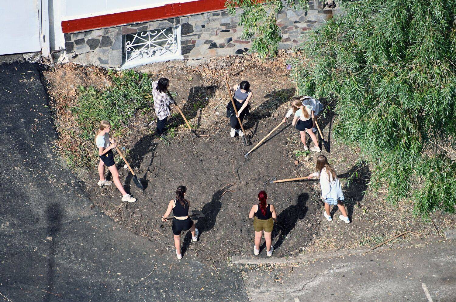 , Меднов Влад