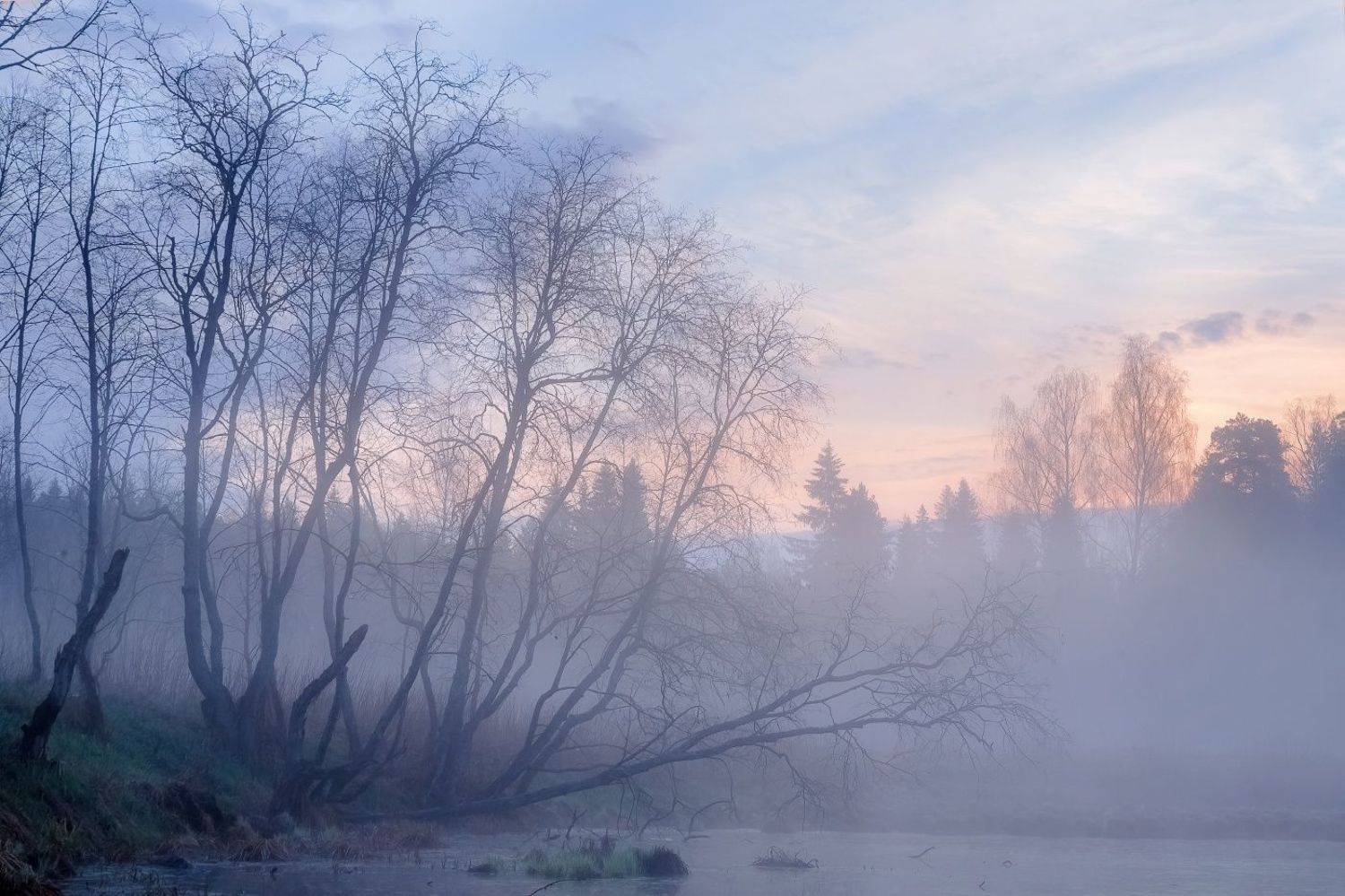 , Евгений Ерохин