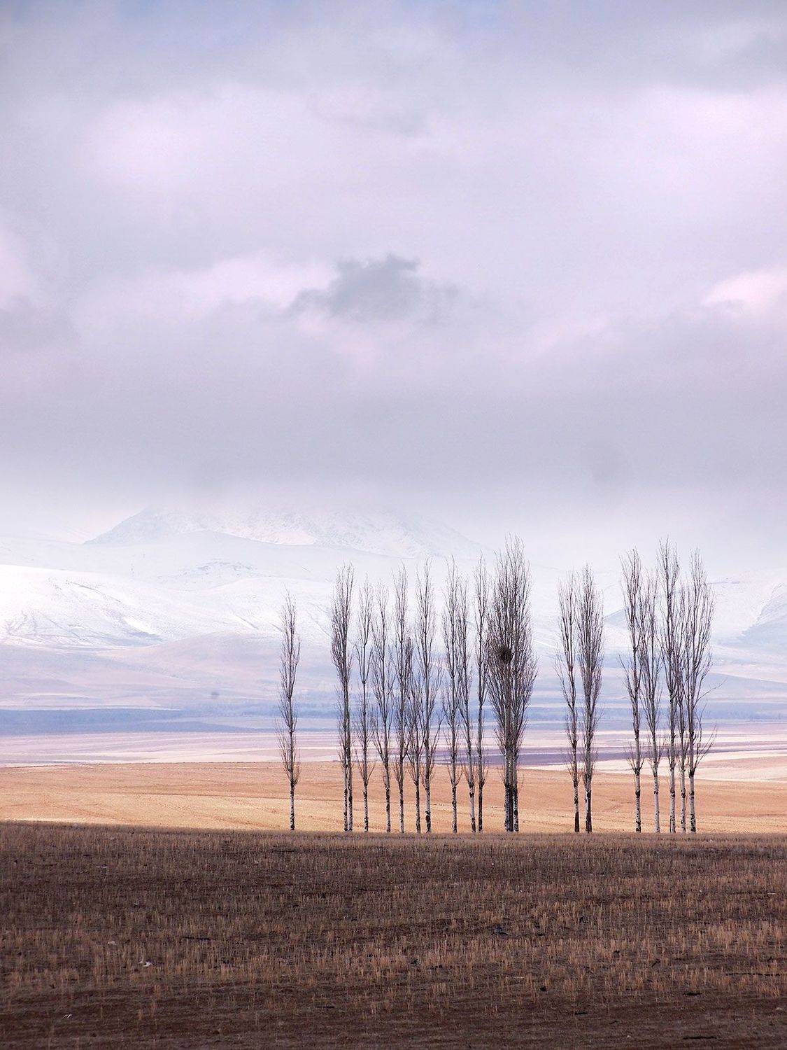 zanjan -iran, Farid Ataei