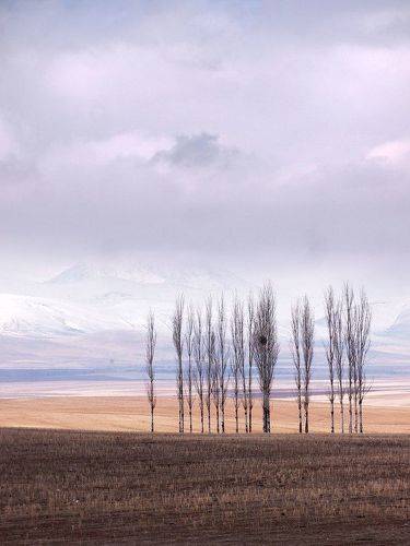 Landscape