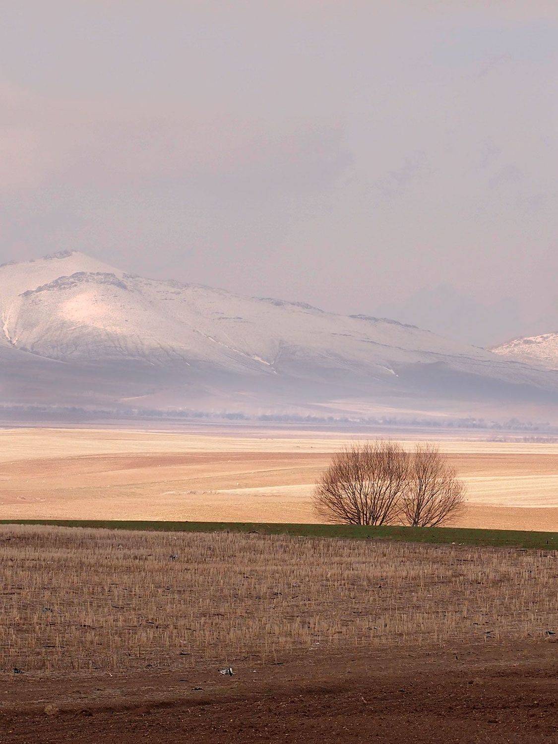 zanjan -iran, Farid Ataei